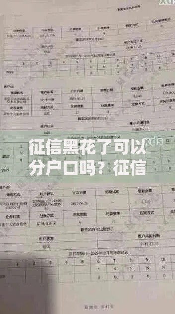 征信黑花了可以分户口吗？征信黑户与分户关联性解析