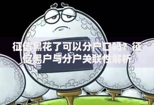 征信黑花了可以分户口吗？征信黑户与分户关联性解析