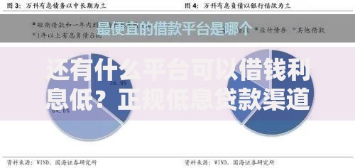 还有什么平台可以借钱利息低？正规低息贷款渠道深度解析