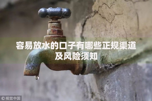 容易放水的口子有哪些正规渠道及风险须知