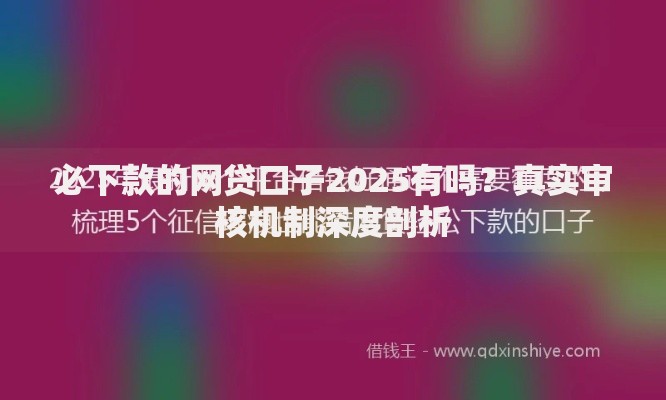必下款的网贷口子2025有吗？真实审核机制深度剖析