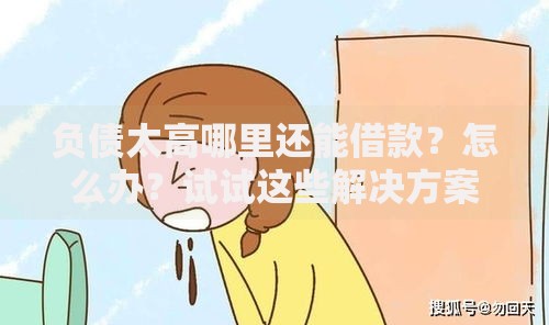 负债太高哪里还能借款？怎么办？试试这些解决方案
