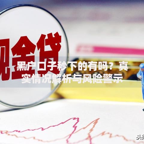 黑户口子秒下的有吗？真实情况解析与风险警示