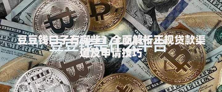 豆豆钱口子有哪些？全面解析正规贷款渠道及申请技巧