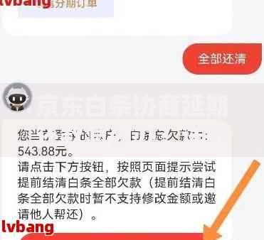 京东白条协商延期还款怎么办？详细流程与技巧解析