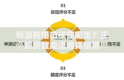 新浪有借口子在哪里？正规贷款渠道选择指南