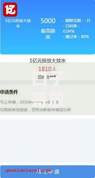 口子哥放水最新贷款攻略：低息渠道如何快速申请？