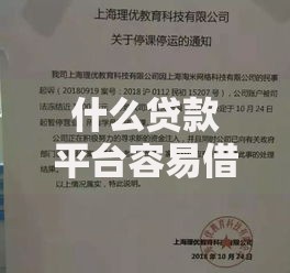 什么贷款平台容易借到钱？资质要求、审核流程及避坑指南