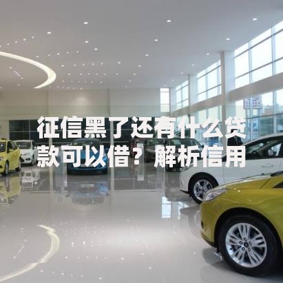 征信黑了还有什么贷款可以借?解析信用不良者借贷方案 征信黑了还有什么贷款可以借?解析信用不良者借贷方案