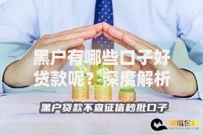 黑户有哪些口子好贷款呢？深度解析可靠渠道与避坑指南