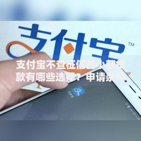 支付宝不查征信的小额贷款有哪些选择？申请条件与流程解析