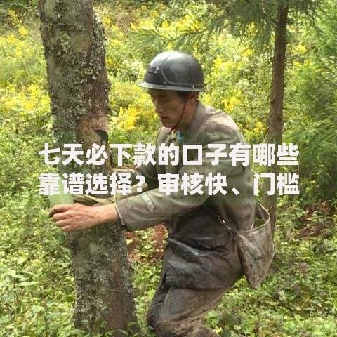 七天必下款的口子有哪些靠谱选择？审核快、门槛低、到账稳