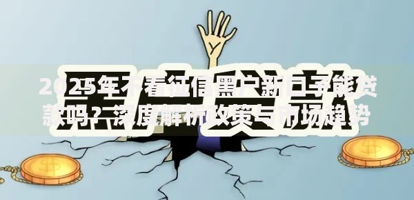 2025年不看征信黑户新口子能贷款吗？深度解析政策与市场趋势