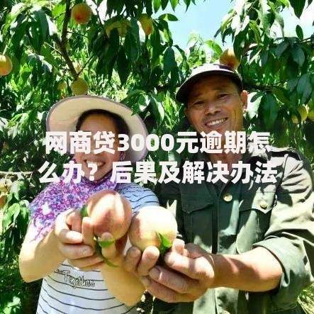 网商贷3000元逾期怎么办？后果及解决办法详解