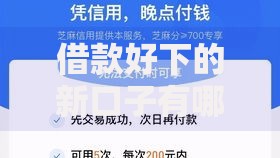 借款好下的新口子有哪些？如何快速申请低息贷款？