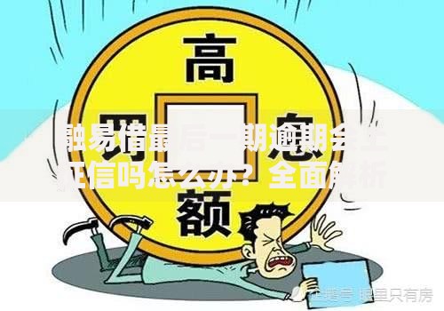 融易借最后一期逾期会上征信吗怎么办？全面解析应对策略