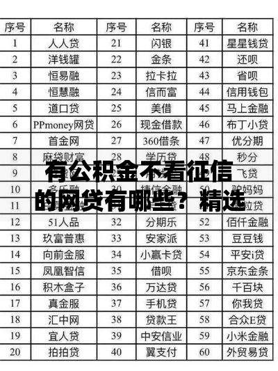 有公积金不看征信的网贷有哪些？精选平台解析
