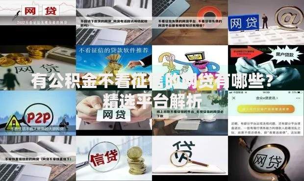 有公积金不看征信的网贷有哪些？精选平台解析
