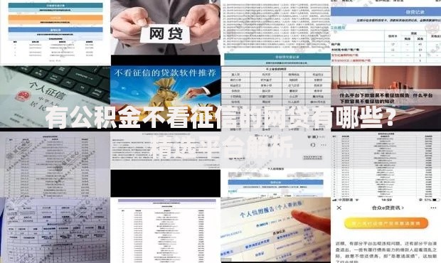 有公积金不看征信的网贷有哪些？精选平台解析
