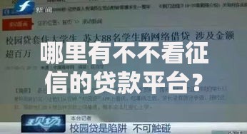 哪里有不不看征信的贷款平台？真实渠道与风险防范全解析