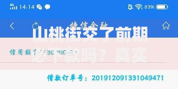 山桃街交了前期必下款吗？真实审核机制深度解析