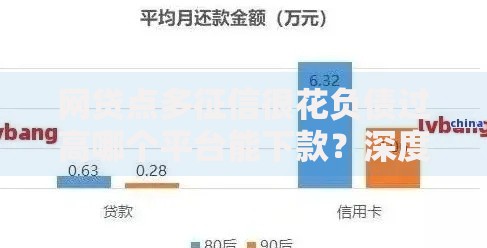 网贷点多征信很花负债过高哪个平台能下款？深度解析渠道选择