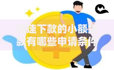 迅速下款的小额贷款有哪些申请条件与流程？