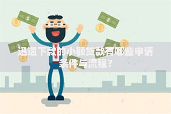 迅速下款的小额贷款有哪些申请条件与流程？