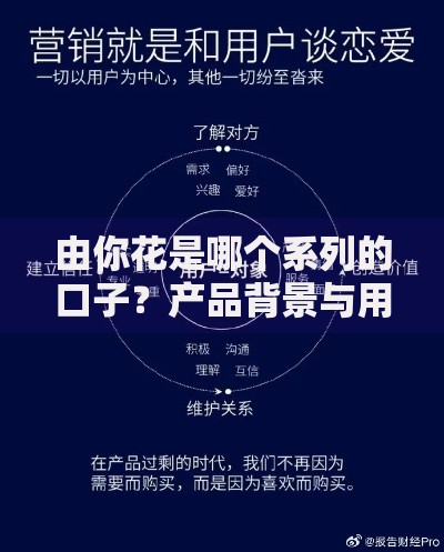 由你花是哪个系列的口子？产品背景与用户需求解析