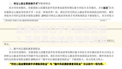 金桔银信口子不错哪里借?正规平台选择与申请指南 金桔银信口子不错哪里借?正规平台选择与申请指南
