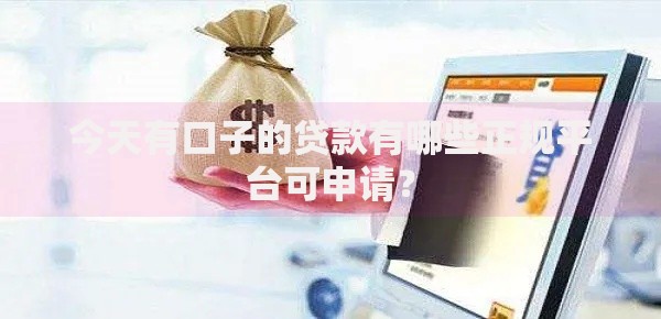 今天有口子的贷款有哪些正规平台可申请？