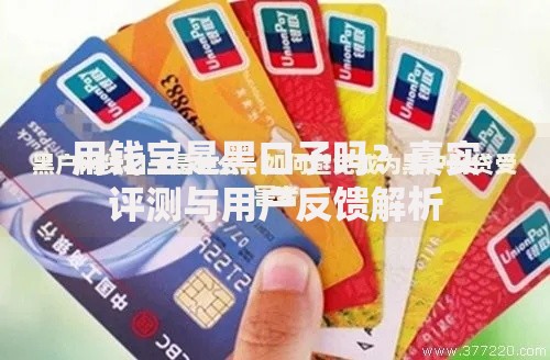 用钱宝是黑口子吗？真实评测与用户反馈解析