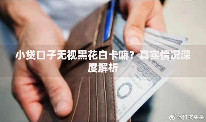 小贷口子无视黑花白卡嘛？真实情况深度解析