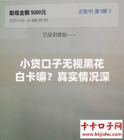 小贷口子无视黑花白卡嘛？真实情况深度解析