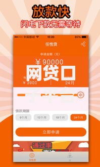 网贷口子平台推广app：如何高效选择与安全使用指南