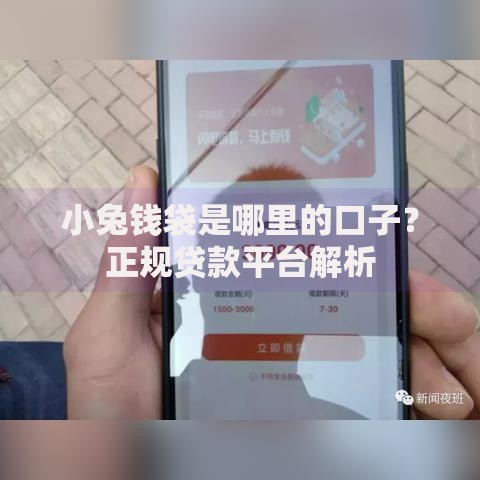 小兔钱袋是哪里的口子?正规贷款平台解析 小兔钱袋是哪里的口子?正规贷款平台解析