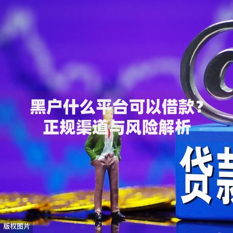 黑户什么平台可以借款?正规渠道与风险解析 黑户什么平台可以借款?正规渠道与风险解析