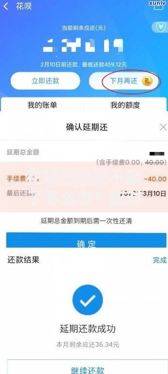 花呗还款还不起了怎么办?应对策略与解决途径详解 花呗还款还不起了怎么办?应对策略与解决途径详解