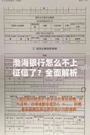 渤海银行怎么不上征信了？全面解析贷款征信问题
