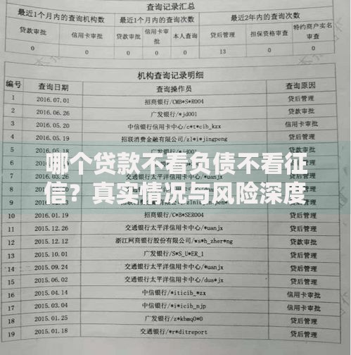 哪个贷款不看负债不看征信？真实情况与风险深度解析