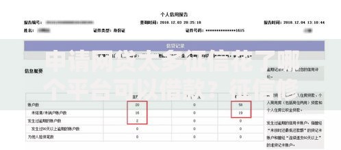 申请网贷太多征信花了哪个平台可以借款？征信修复与借贷渠道解析