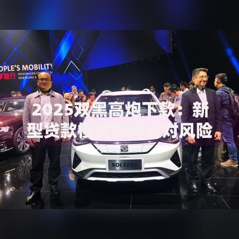 2025双黑高炮下款：新型贷款模式如何应对风险与机遇？
