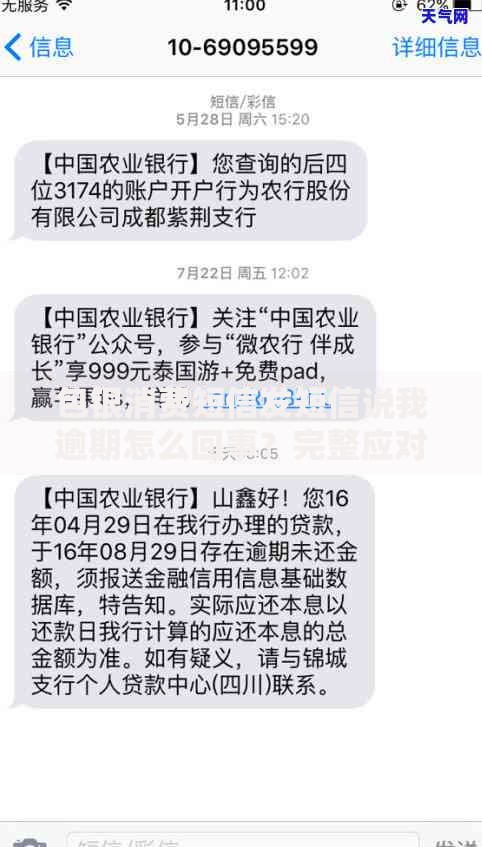 包银消费短信发短信说我逾期怎么回事？完整应对指南