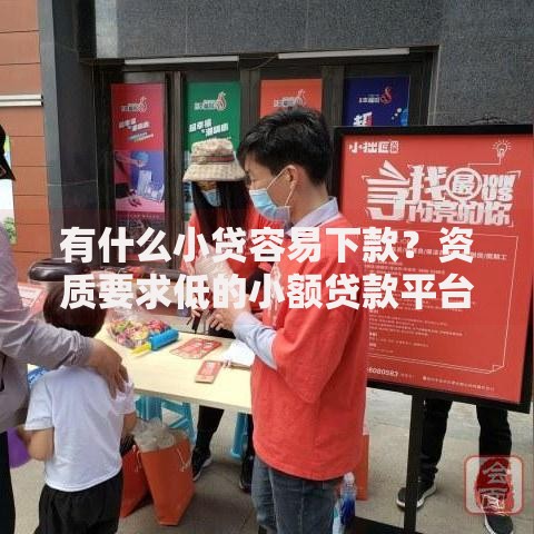 有什么小贷容易下款？资质要求低的小额贷款平台推荐