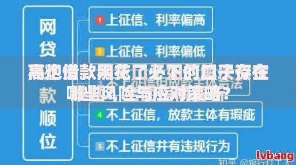 高炮借款黑花了必下的口子存在哪些风险与应对策略？