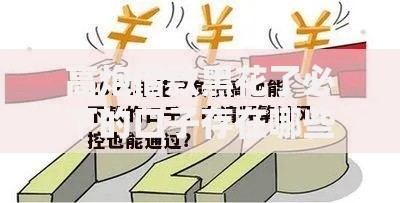 高炮借款黑花了必下的口子存在哪些风险与应对策略？