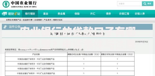 农业银行的贷款口子有哪些类型？申请条件与注意事项