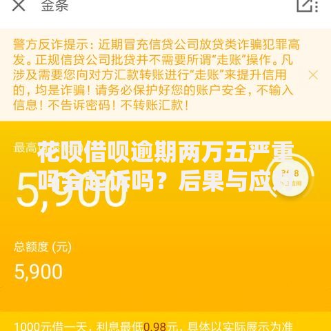 花呗借呗逾期两万五严重吗会起诉吗？后果与应对解析