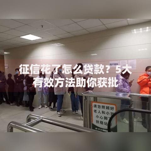 征信花了怎么贷款？5大有效方法助你获批