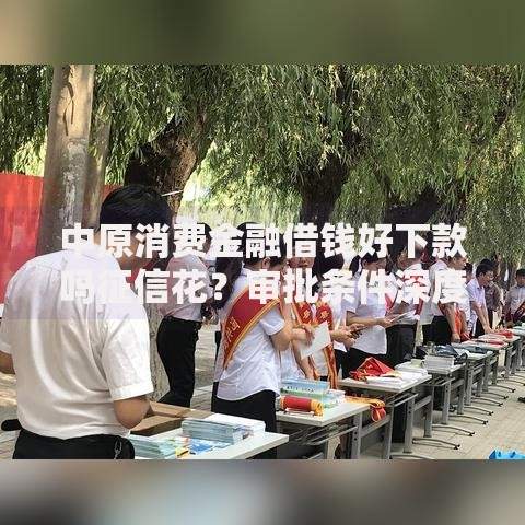 中原消费金融借钱好下款吗征信花？审批条件深度解析